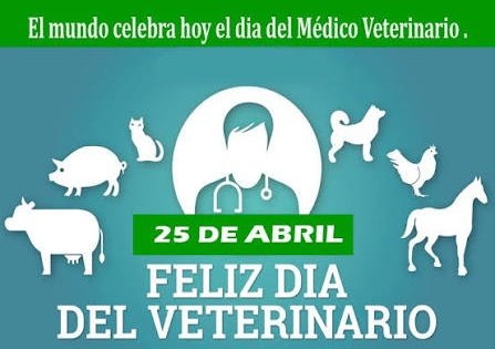 👨‍⚕️🐈🐖El Día Mundial del Veterinario se celebra el último sábado de abril de cada año y su objetivo principal es reconocer y reivindicar la labor que estos profesionales desempeñan para que los animales en todo el mundo gocen de buena salud, protección y seguridad alimentaria.