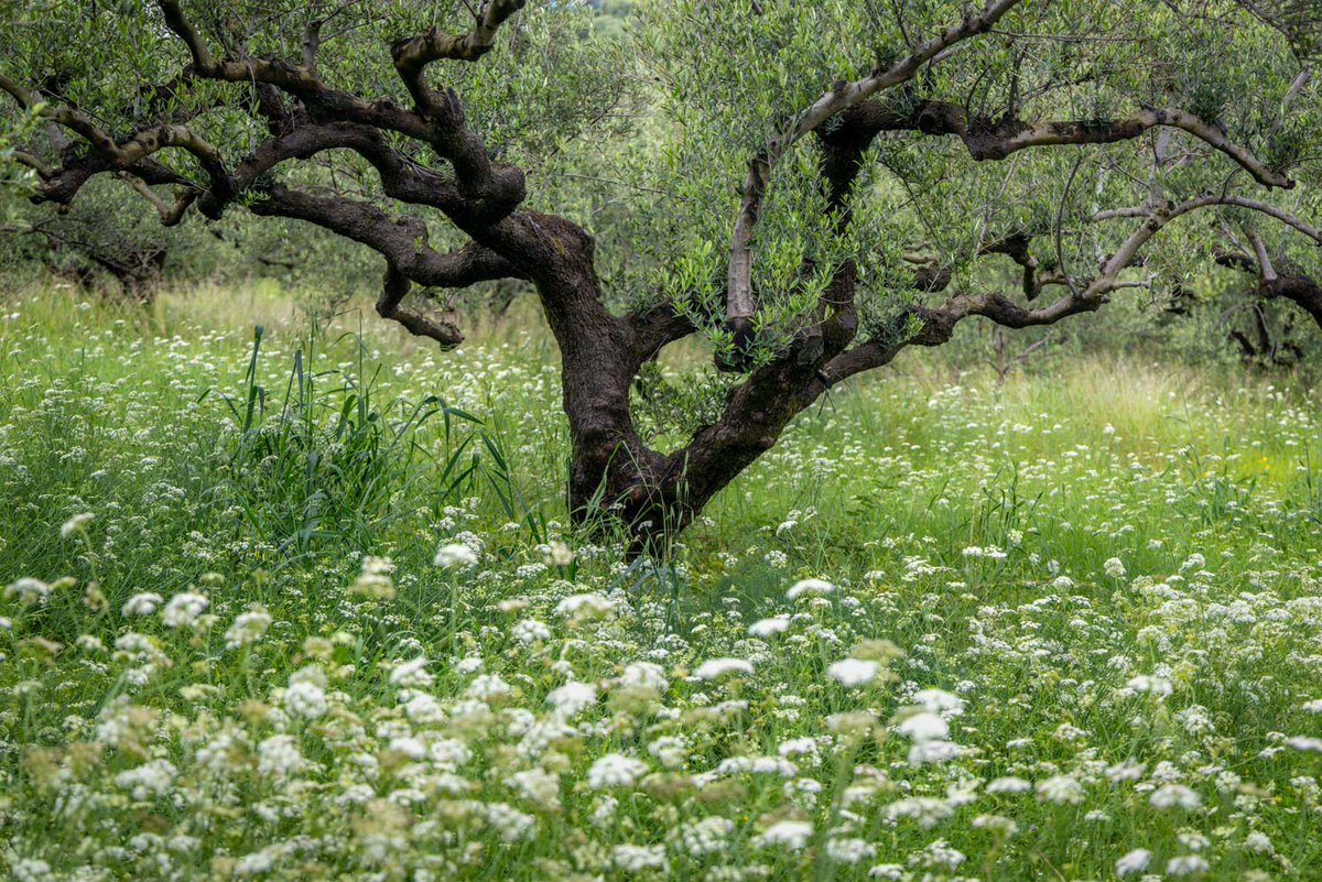 Andrew Locking tweet media