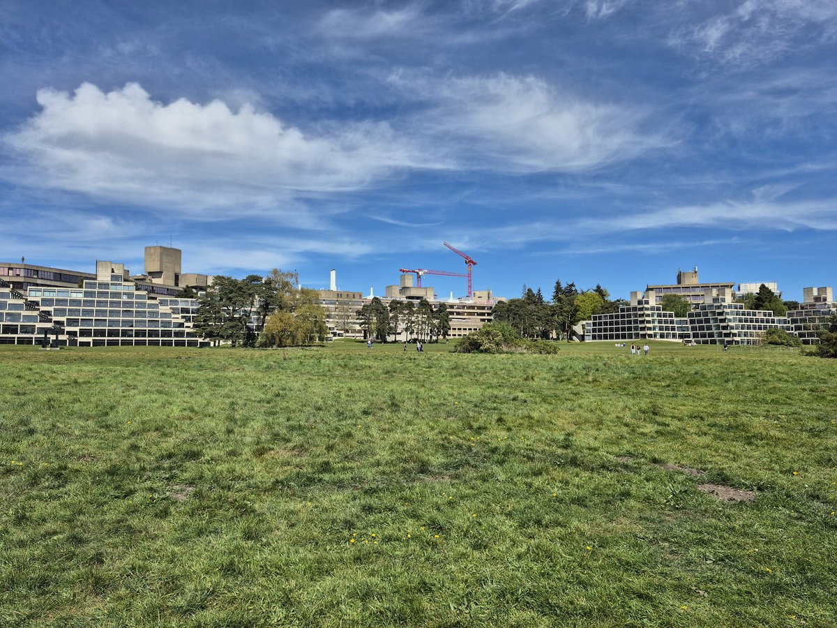 Louise Griffiths tweet media