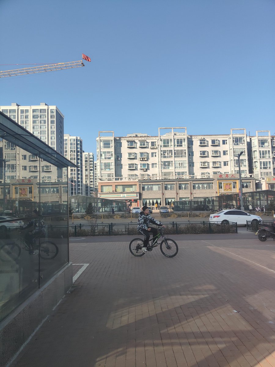 Lorie Ott tweet media