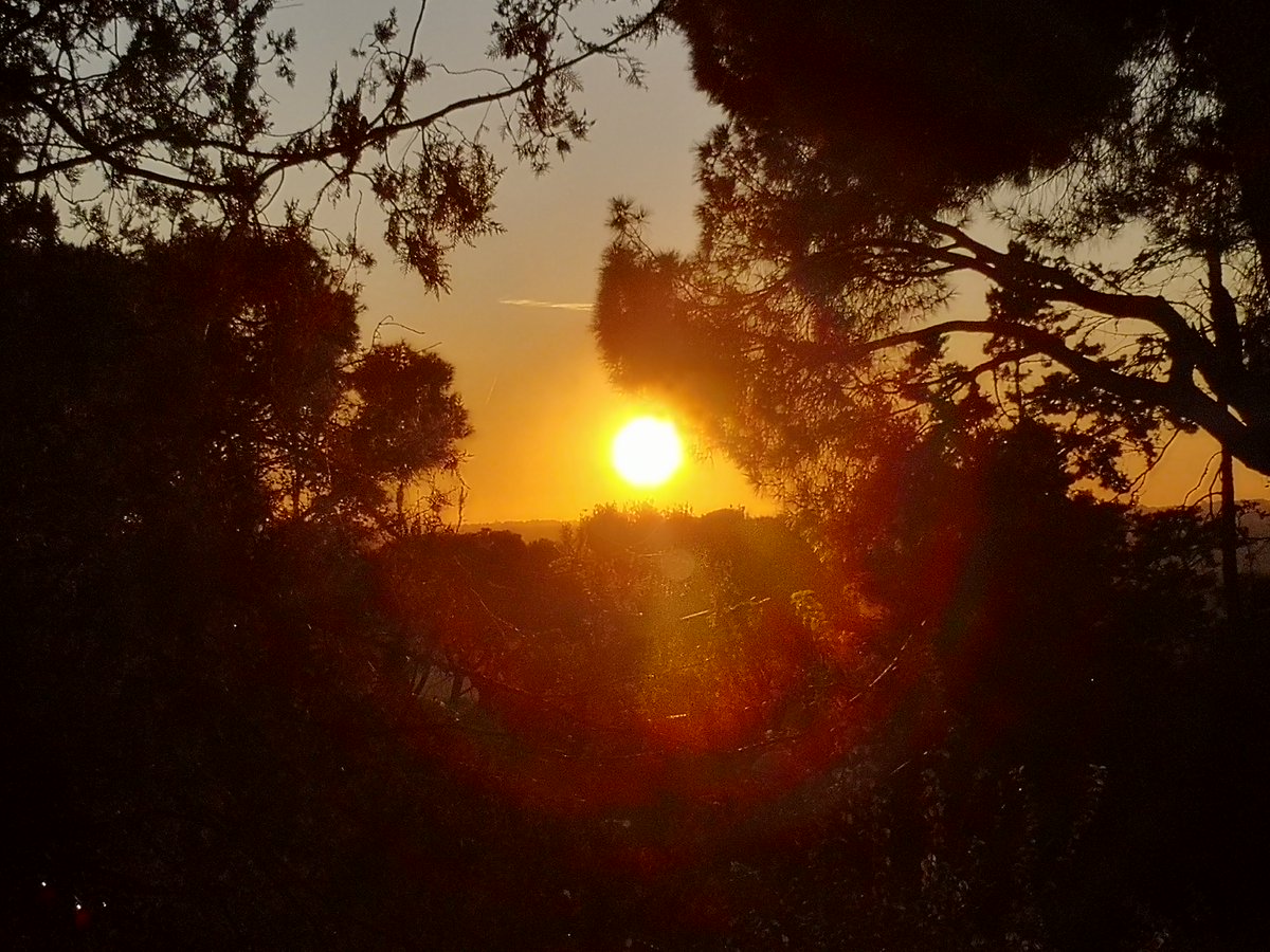 OrkinusDelfino's tweet image. El Sol y su aureola al atardecer.

#naturephtography #Naturaleza #landscape #paisaje #sunset #atardecer #anochecer
