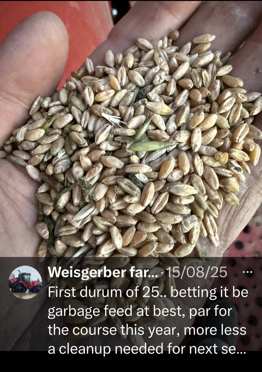 jo29697446's tweet image. Chi semina vento raccoglie tempesta …
ma noi la mangiamo 🍝 chiamandola #madeinitaly
#imigliorigranidelmondo