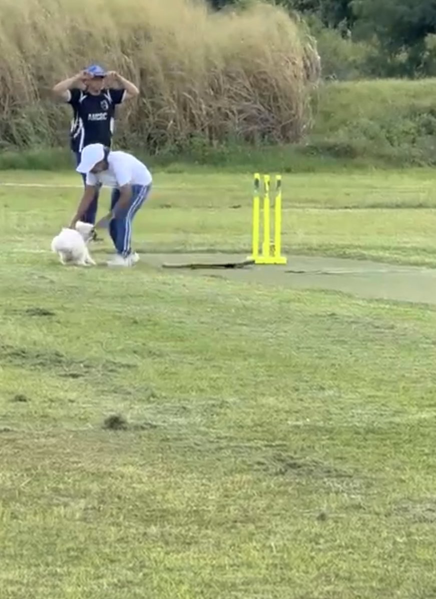 Meenakshi Saxena tweet media