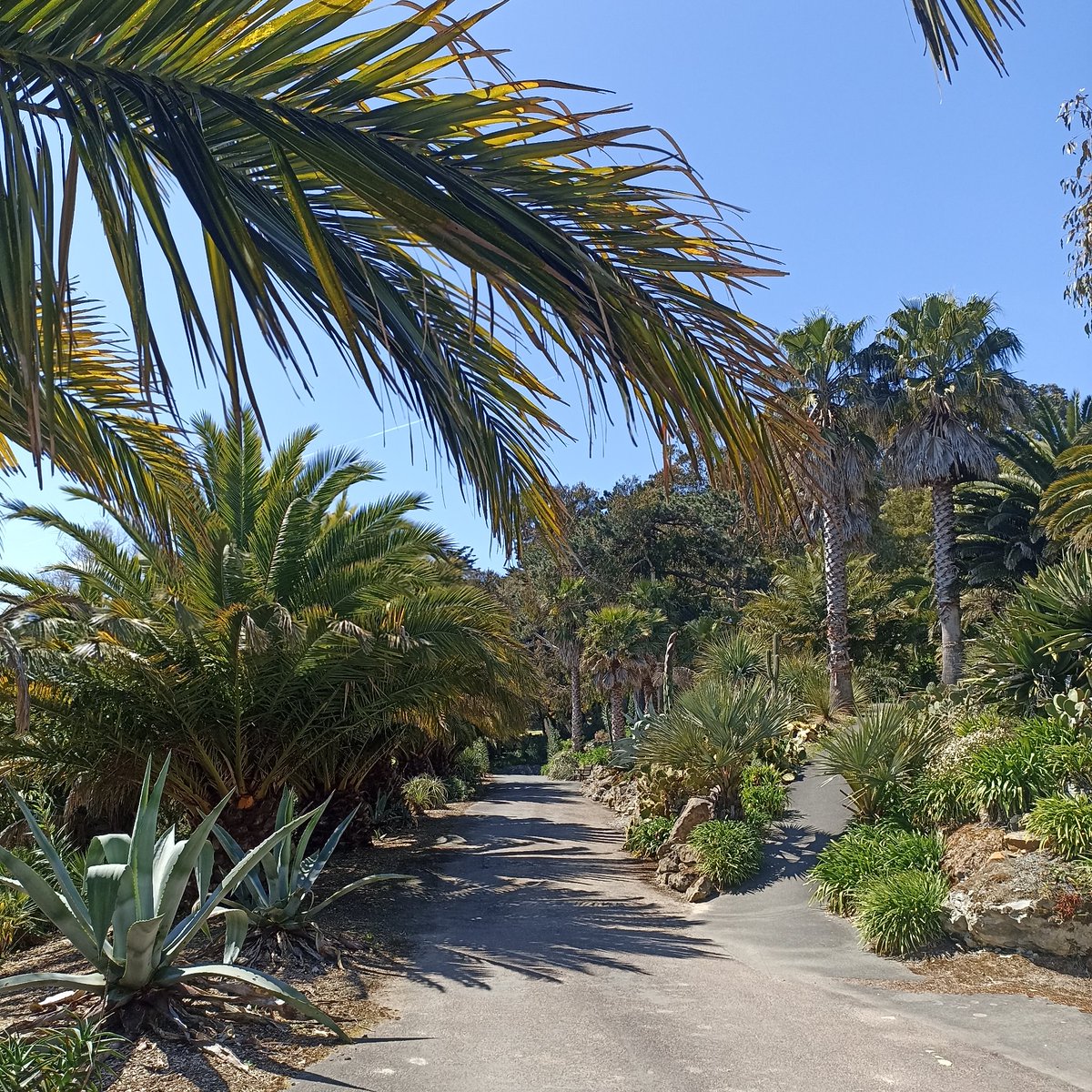 F1987🇬🇧🇪🇸 ☀️🌊⛱️🦎🏺🐐 tweet media