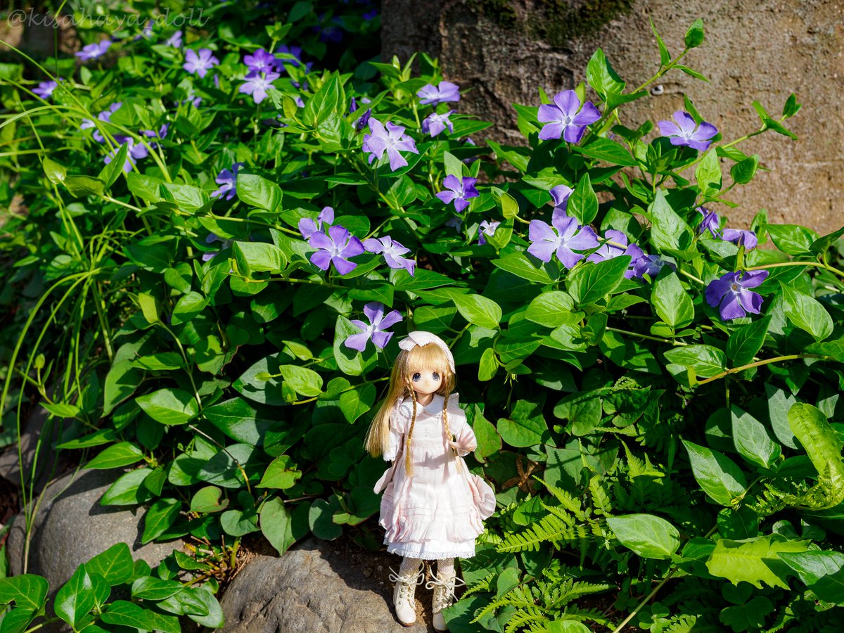 如月隼人@ドール垢 tweet media