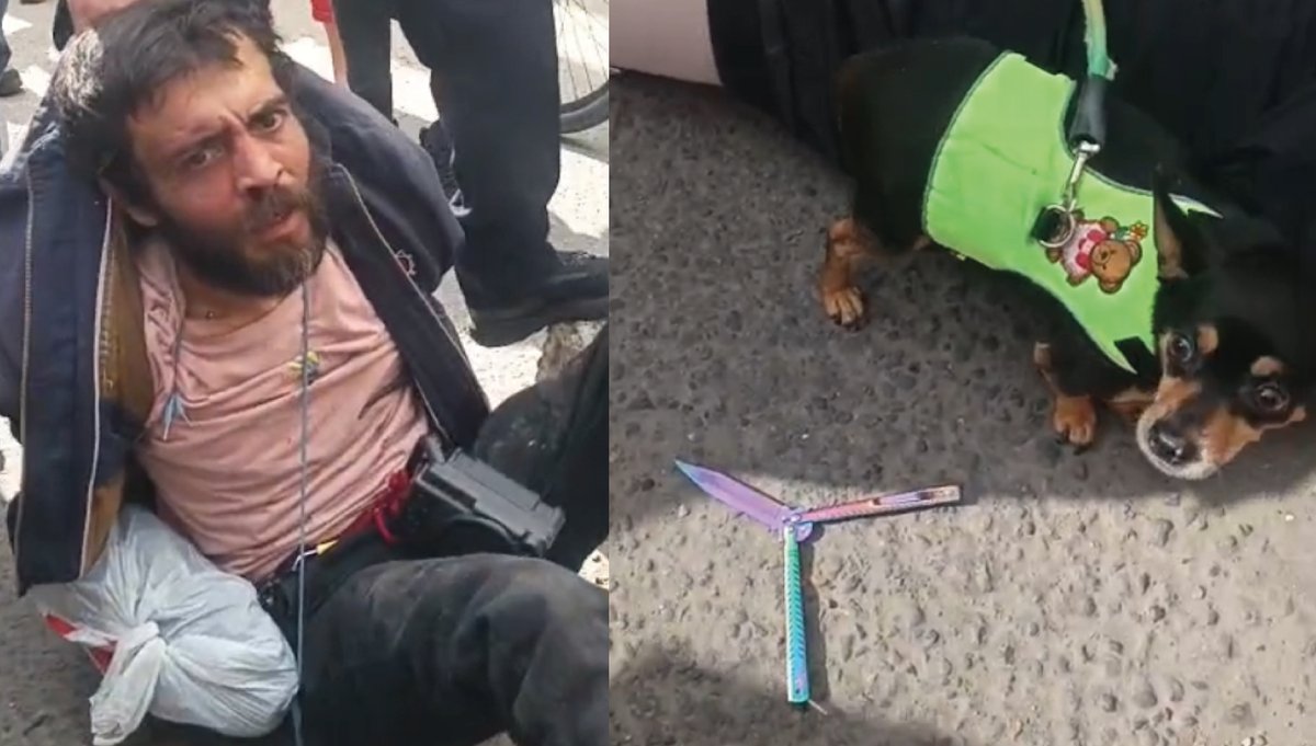 Plataforma ALTO tweet media