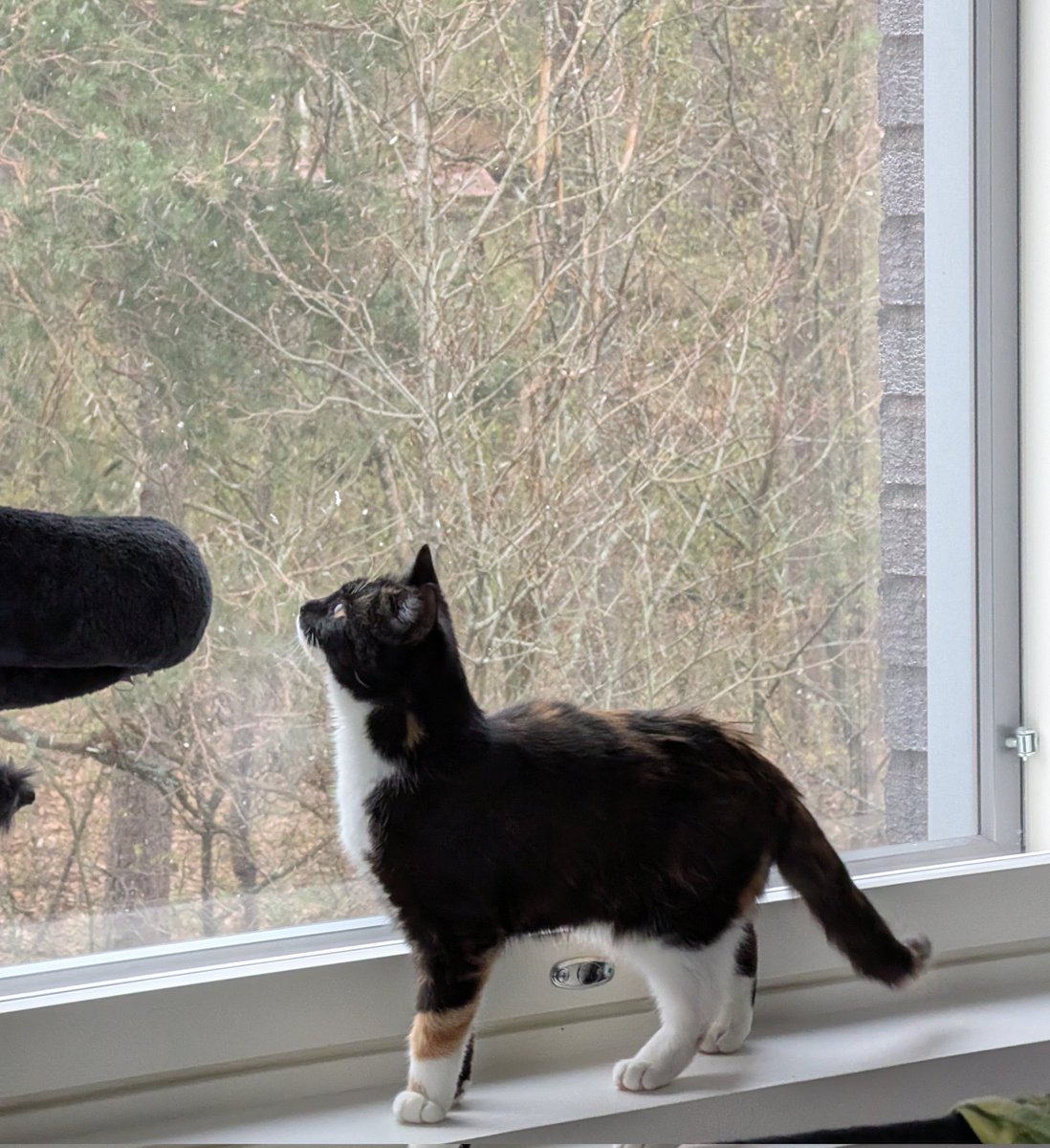 it's snowing outside and she would like to go out and eat all the snowflakes so summer can come already