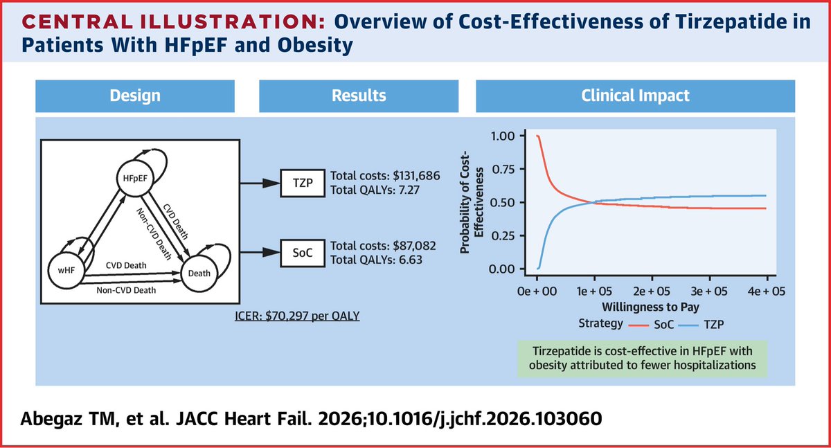 Cost-Effectiveness of Tirzepatide for the Management of Heart Failure With Preserved Ejection Fraction and Obesity

Tirzepatide seems to be a cost-effective treatment option for patients with HFpEF and obesity in the United States. However, the modest 51% probability of