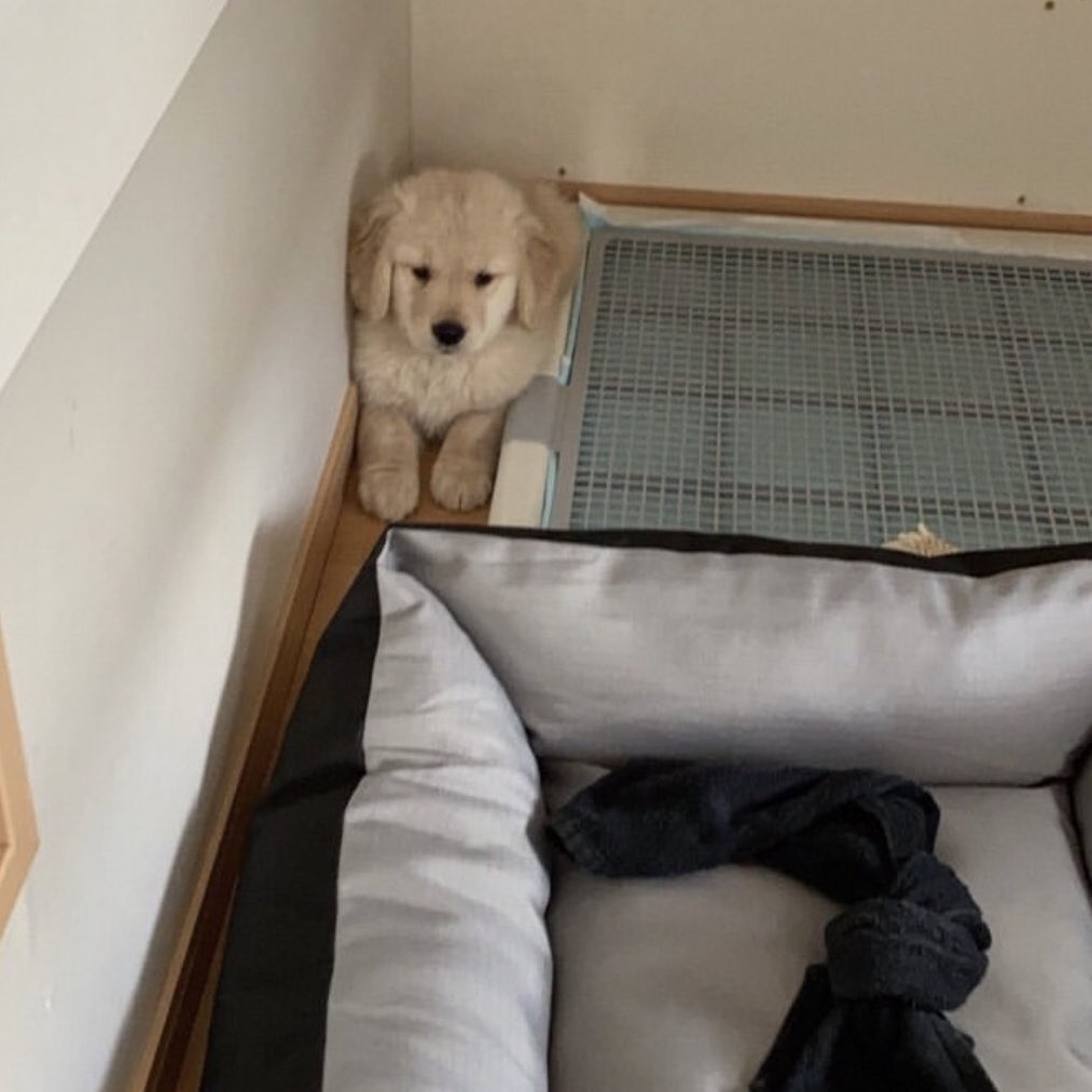 ที่นอนชั้นมันแคบมาก ขอไปนอนกับเบบี๋ได้ม่าย