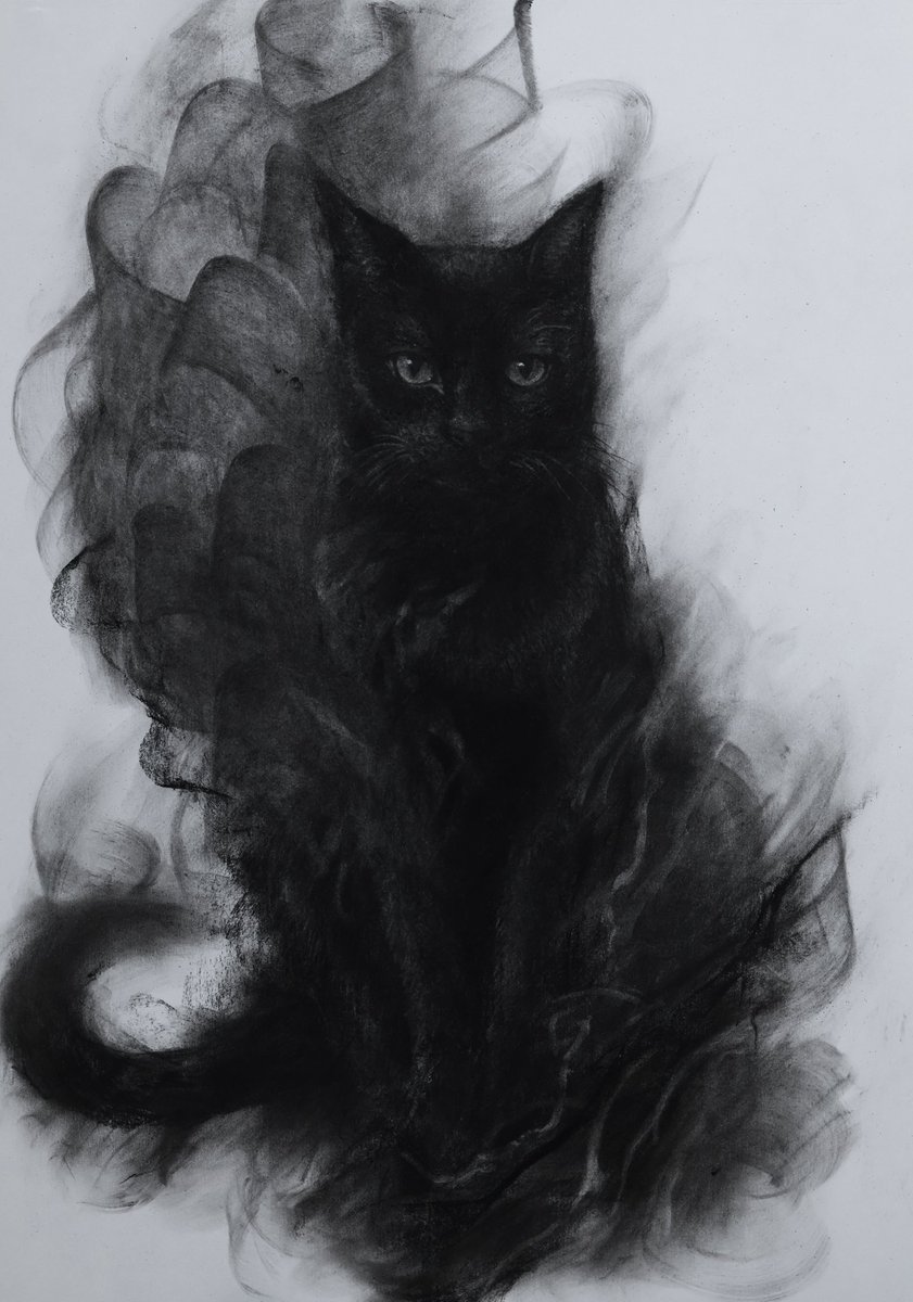 ryosuke_art5's tweet photo. 木炭で描いた猫 https://t.co/EVDm4NciB5