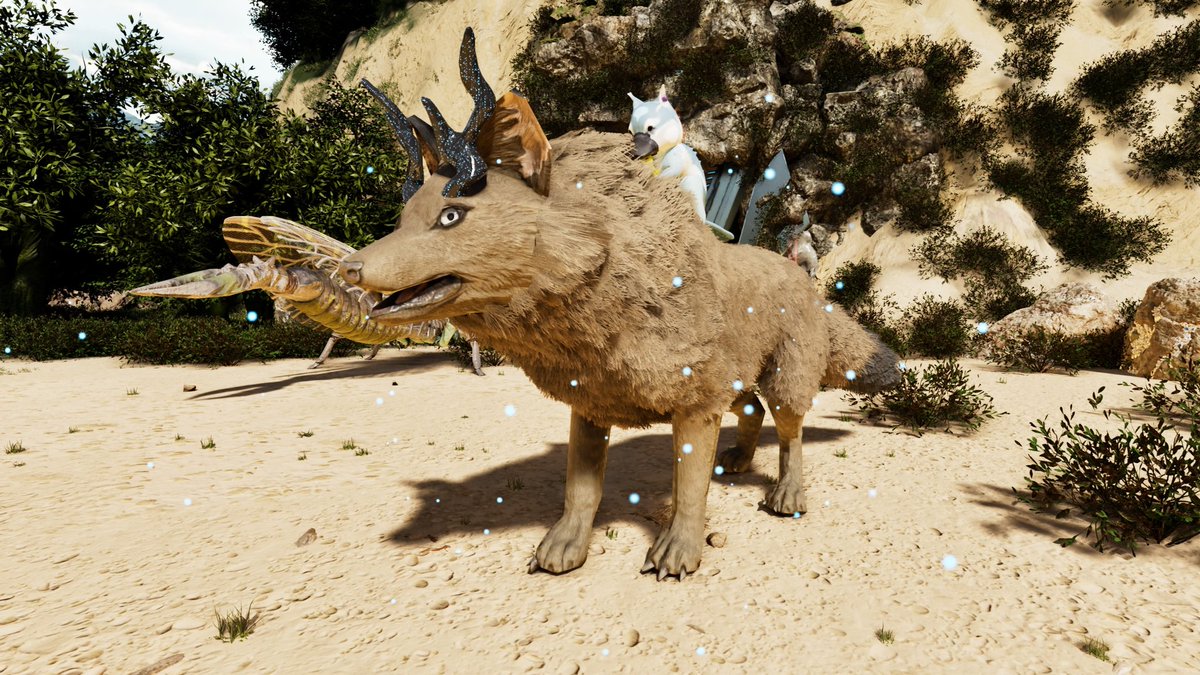 ヒエン tweet media