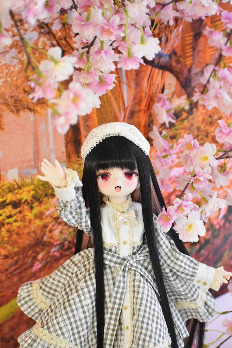 studio Edelstein(スタジオ エーデルシュタイン) tweet media