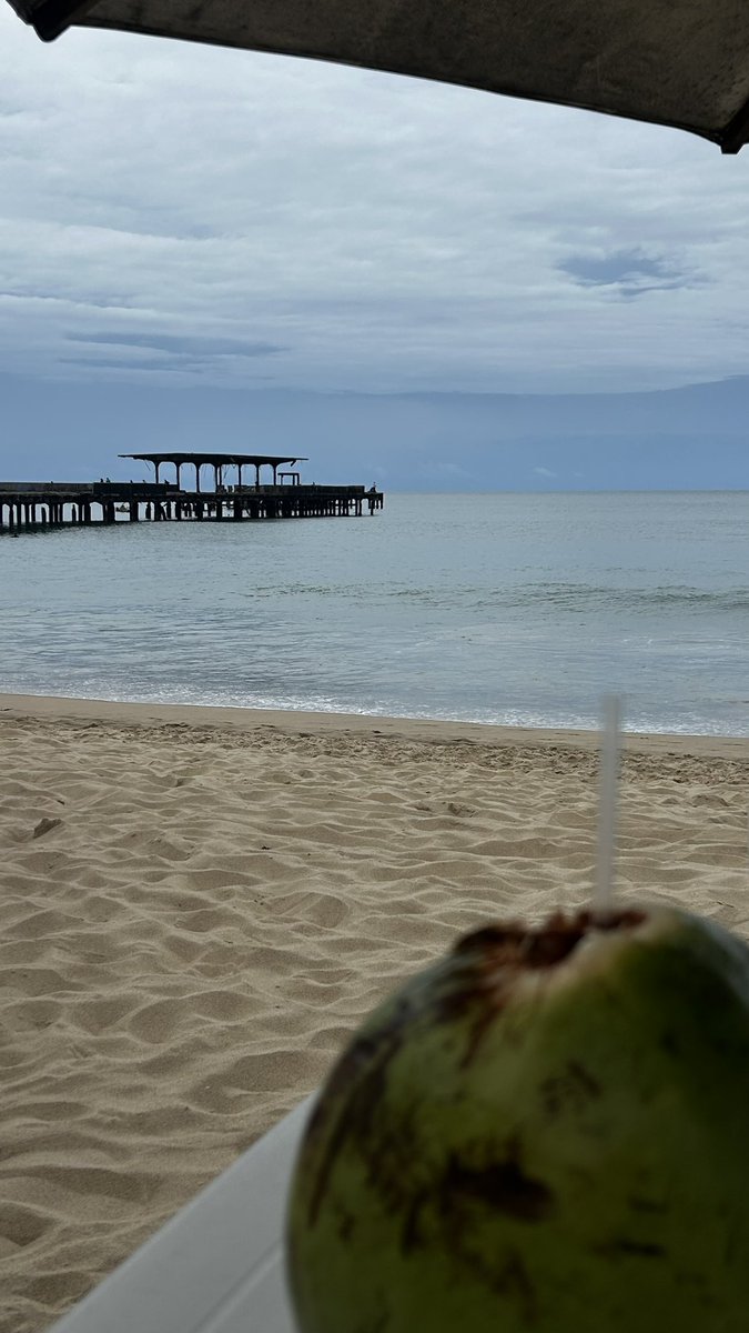 joana d la tweet media