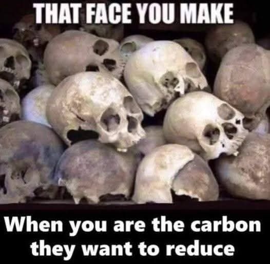 Boys and girls, YOU are the carbon they mean to reduce... Don't let them