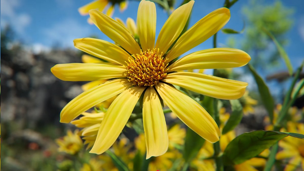 焼酎うめぇ🐻‍❄️ tweet media