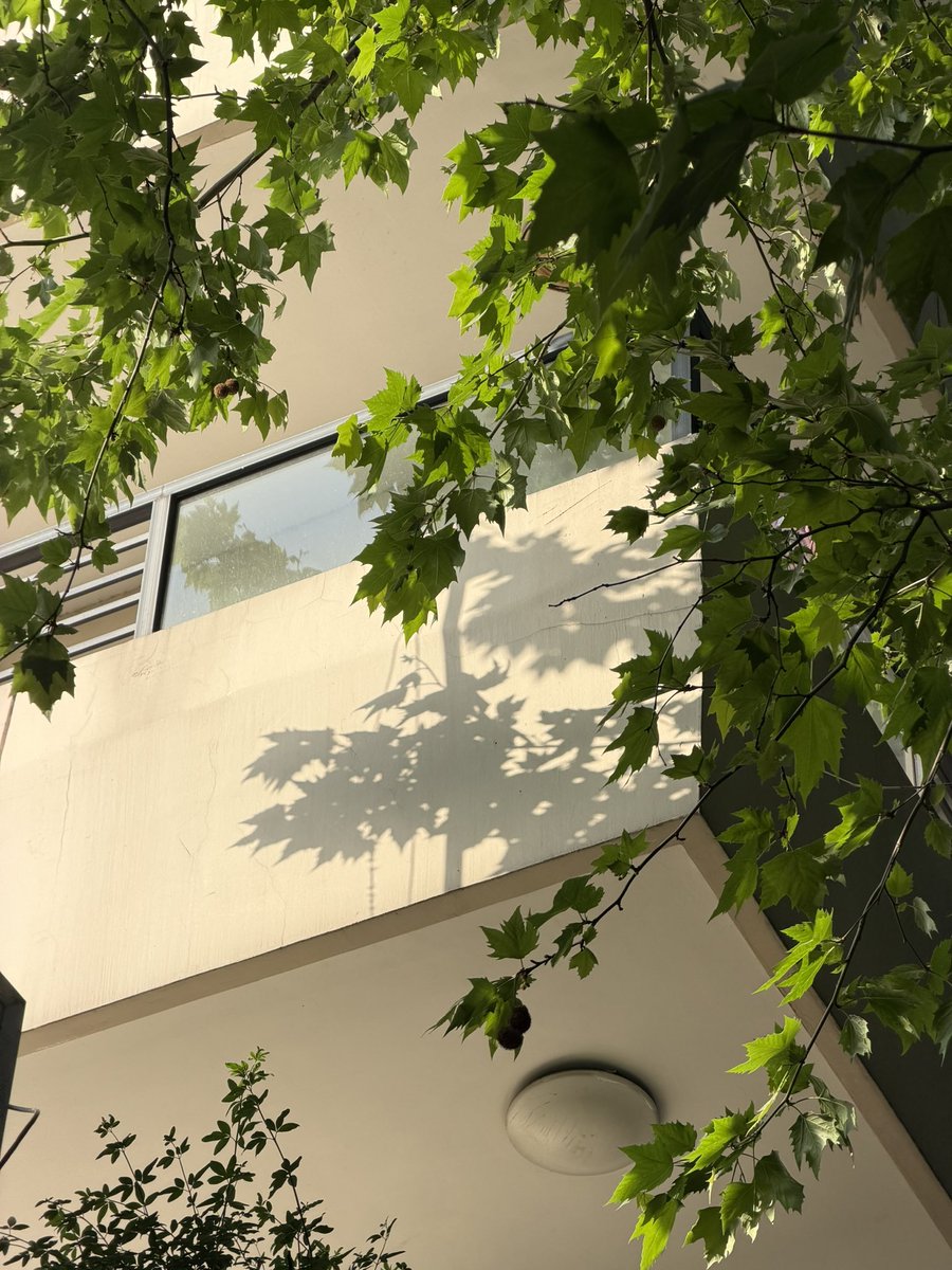 什么灯 tweet media