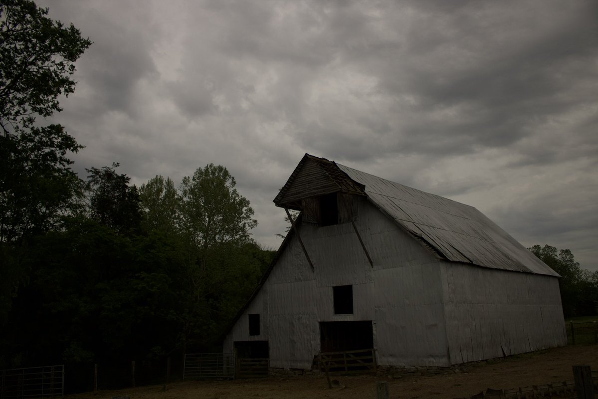 dreamland tweet media