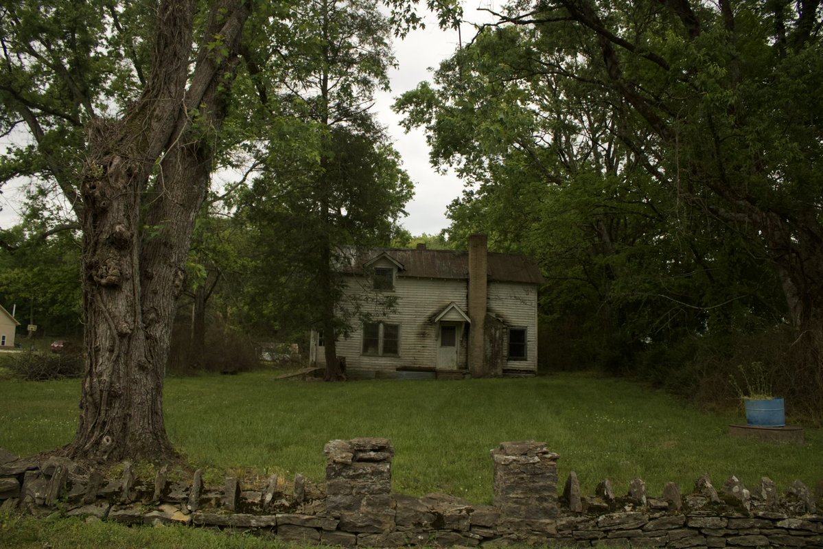 dreamland tweet media