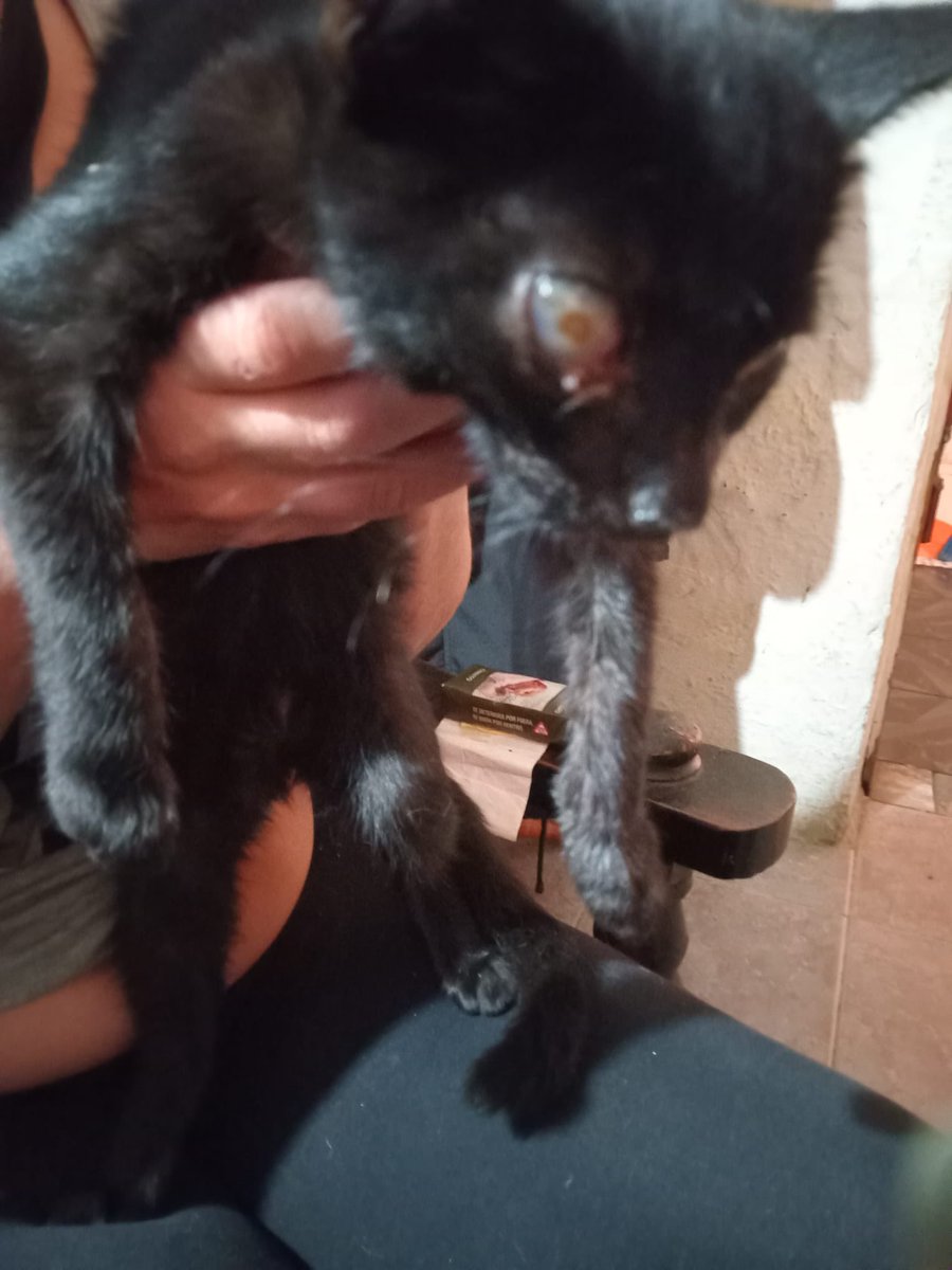 redbicheraoficialuruguay tweet media