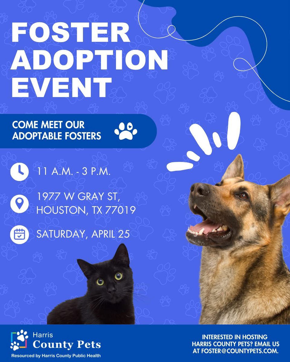 PawsnTails4TX's tweet image. ⭐️💥🎉FOSTER  ADOPTION EVENT TODAY 🎉💥⭐️

WHEN👉🏻 Today Saturday April 25, 2026
11 am - 3pm

WHERE 👉🏻 1977 W Gray Street 
Houston #TX. 77019 

#Save a life 
#AdoptDontShop