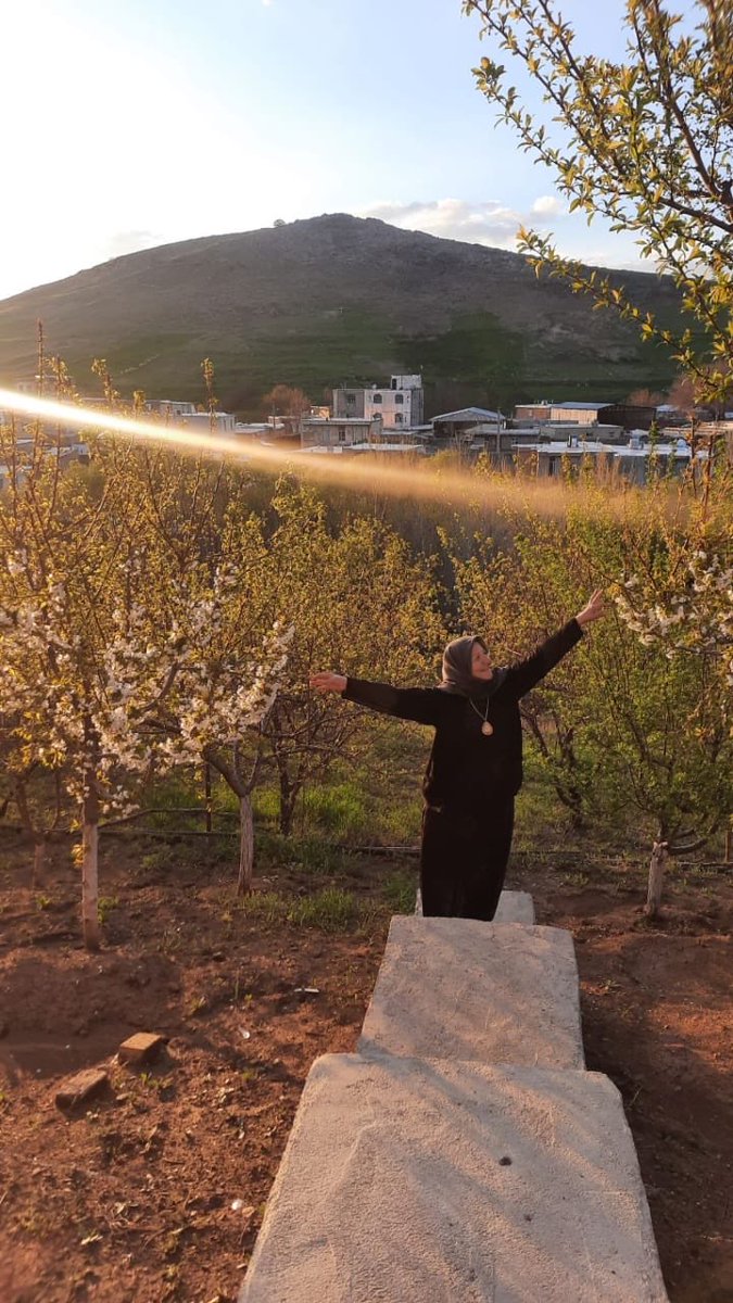 Phénomène tweet media