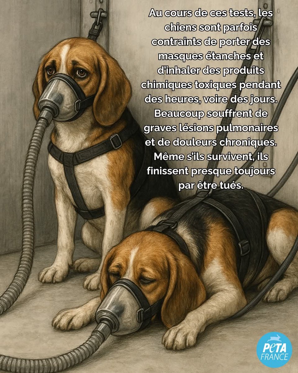 Adea Claude tweet media