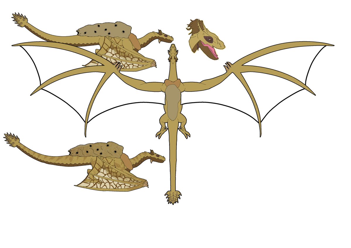 RazorMortis's tweet image. Currently working on an overhead wingspan drawing for the Hiveback the Wyvern species im designing for my Worldbuilding project.

#Worldbuilding #creaturedesign #monsterdesign #dragondesign #fantasy