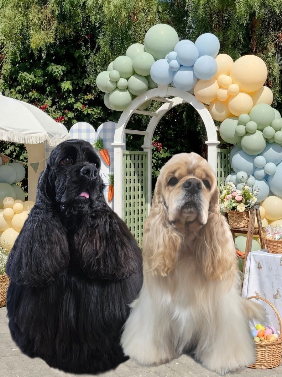 亜樹&絵里 tweet media