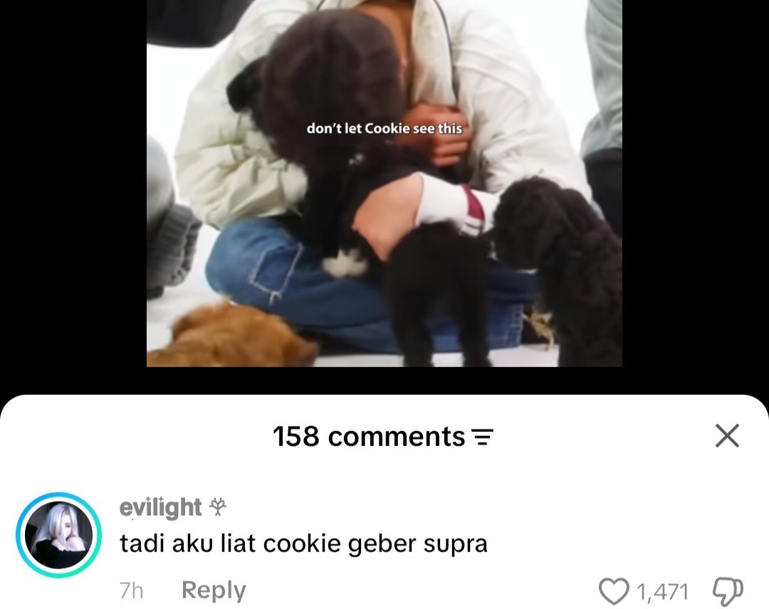 CORTISFESS ─ BASE ON tweet media