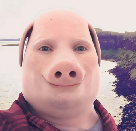 vepz tweet media