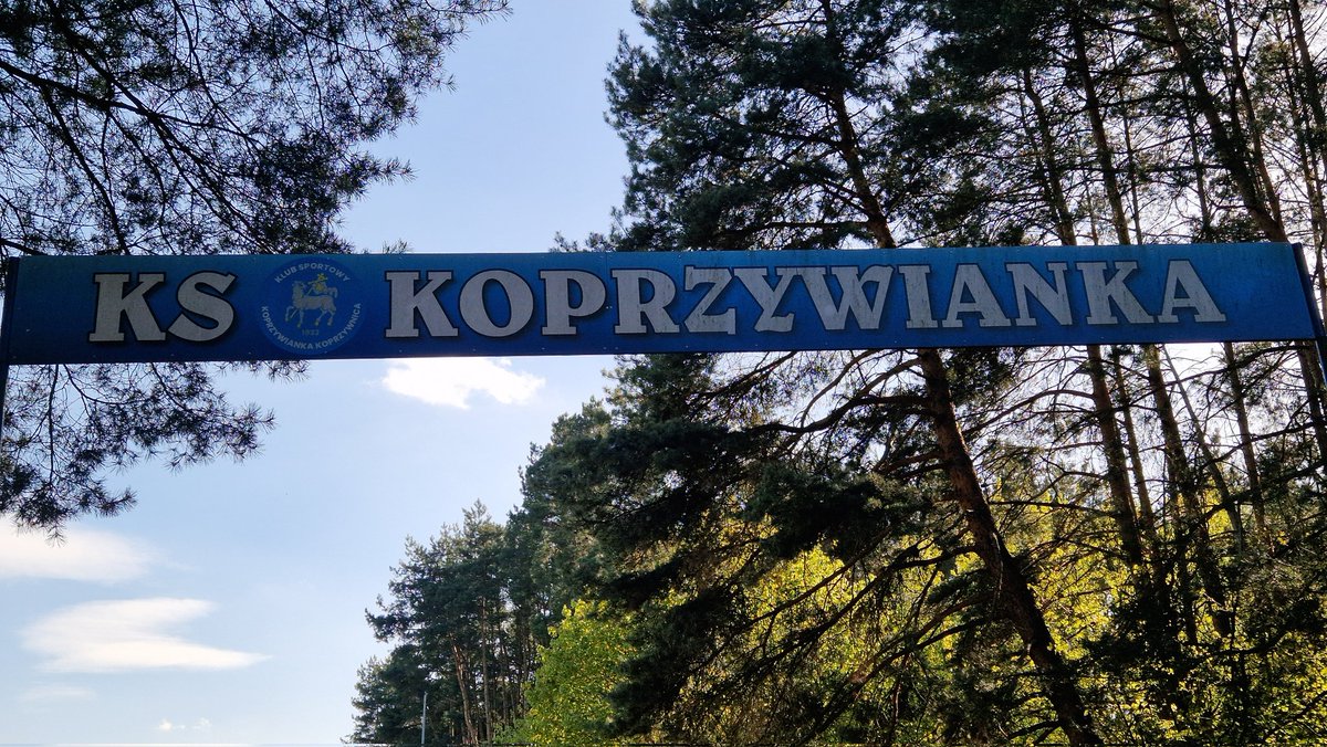 Domino tweet media
