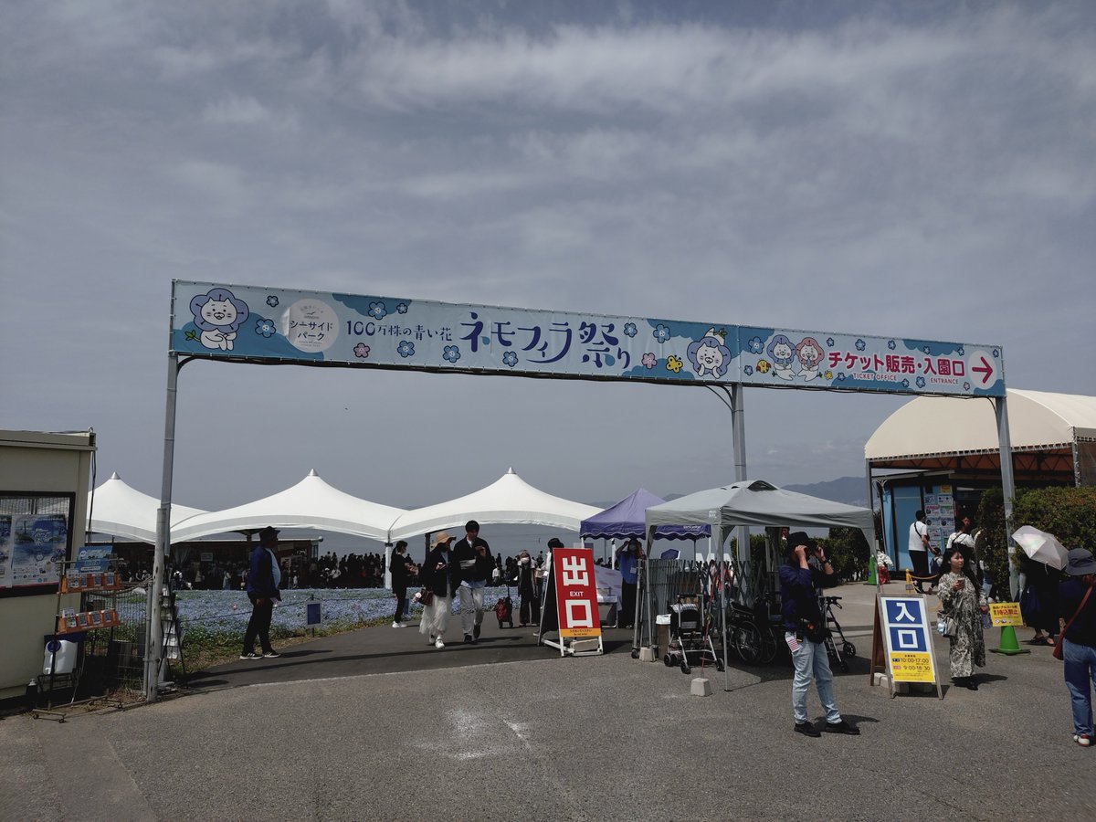 Ri1Non's tweet image. 本日はカメ活ツーリングのお誘いがあり行ってきました！
ネモフィラ＆牧場で動物を撮りに行ってきました😁
ネモフィラが丁度良いタイミングでとても綺麗でした✨
バイクで走って写真を撮る...楽しかったです😆

#ツーリング
#BOLT
#カメ活