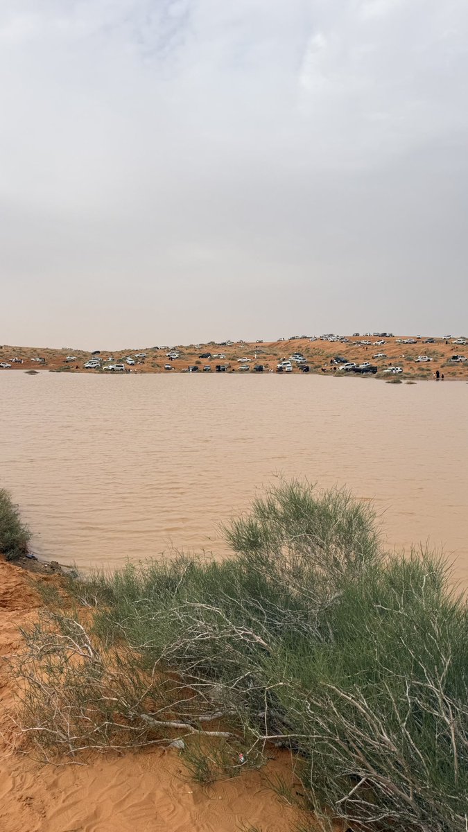 فهد الشمّري. tweet media