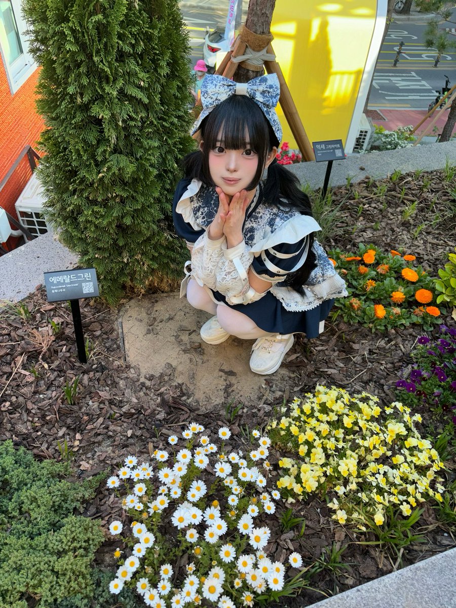 츠무기 ツムギ tweet media
