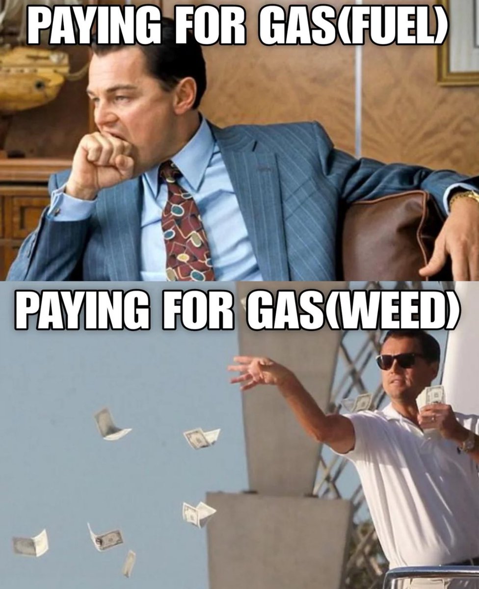 Lemon Hut🌳 tweet media