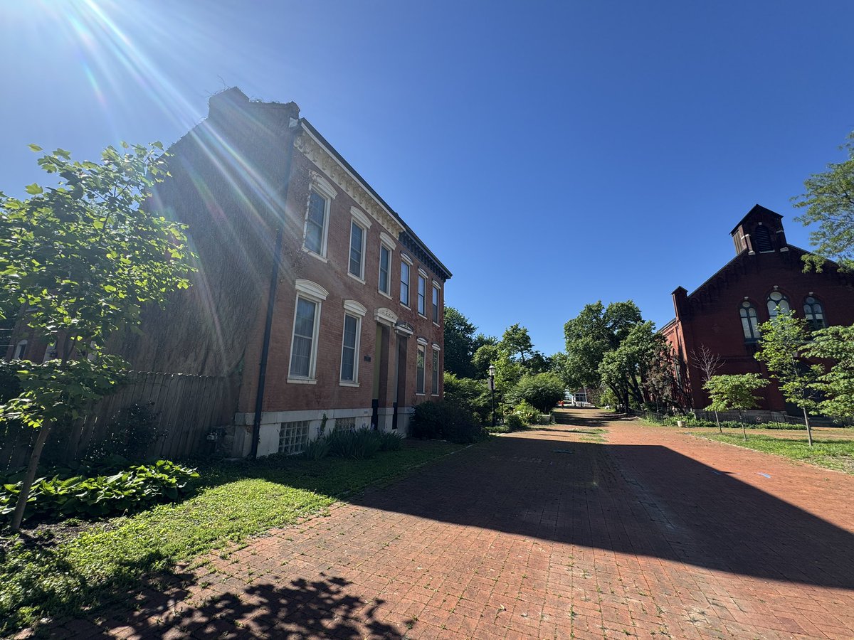 Denis Beganovic tweet media