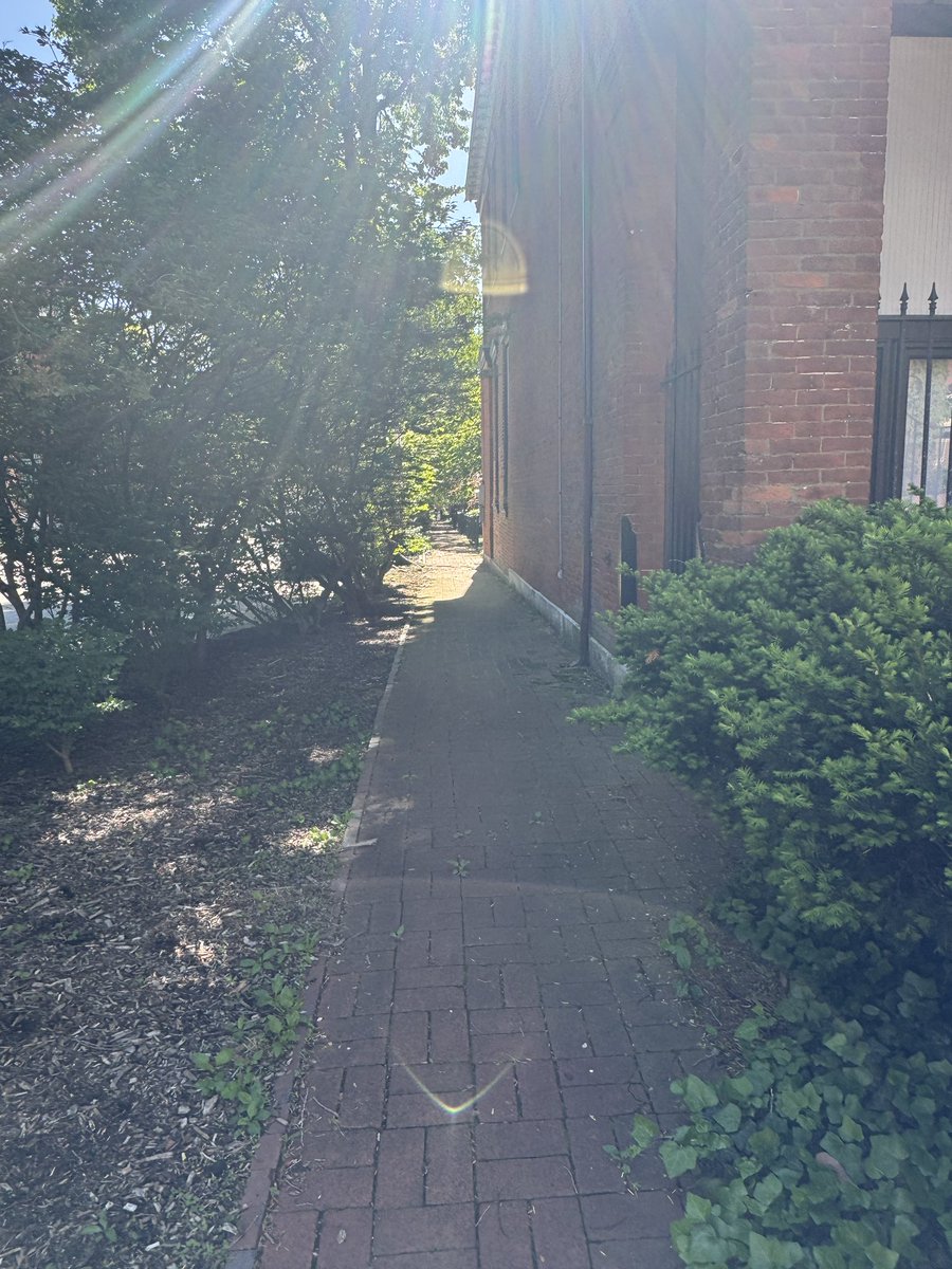 Denis Beganovic tweet media