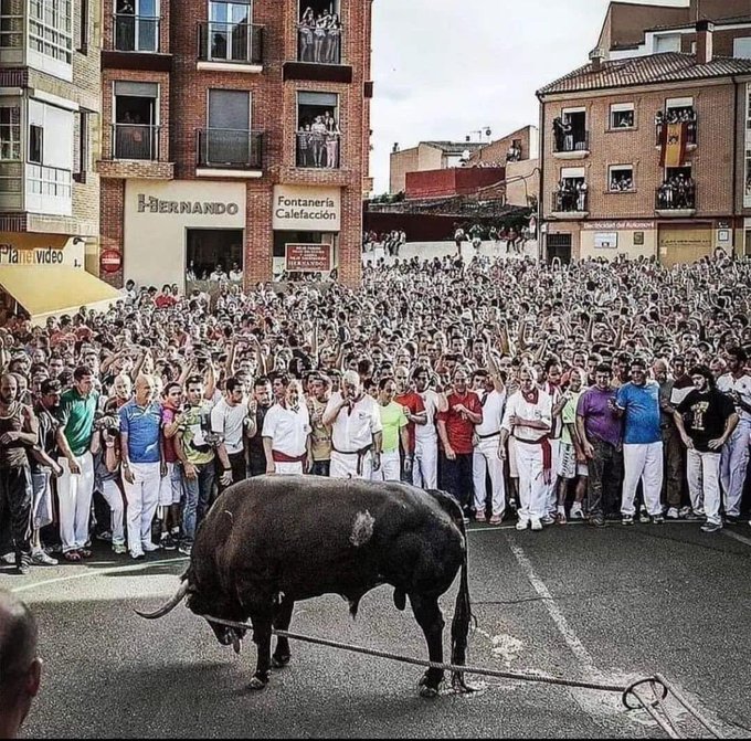 El Toñez tweet media