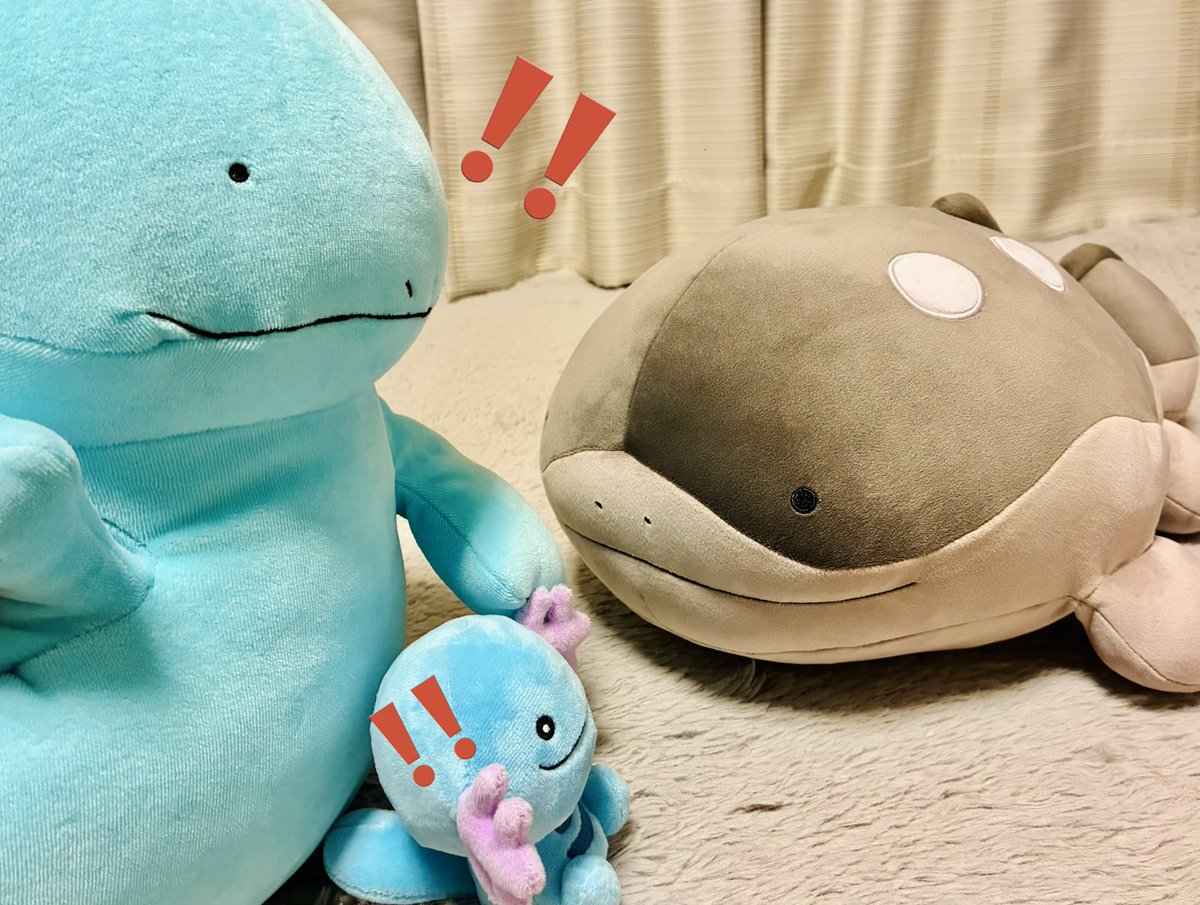 アネモネ tweet media