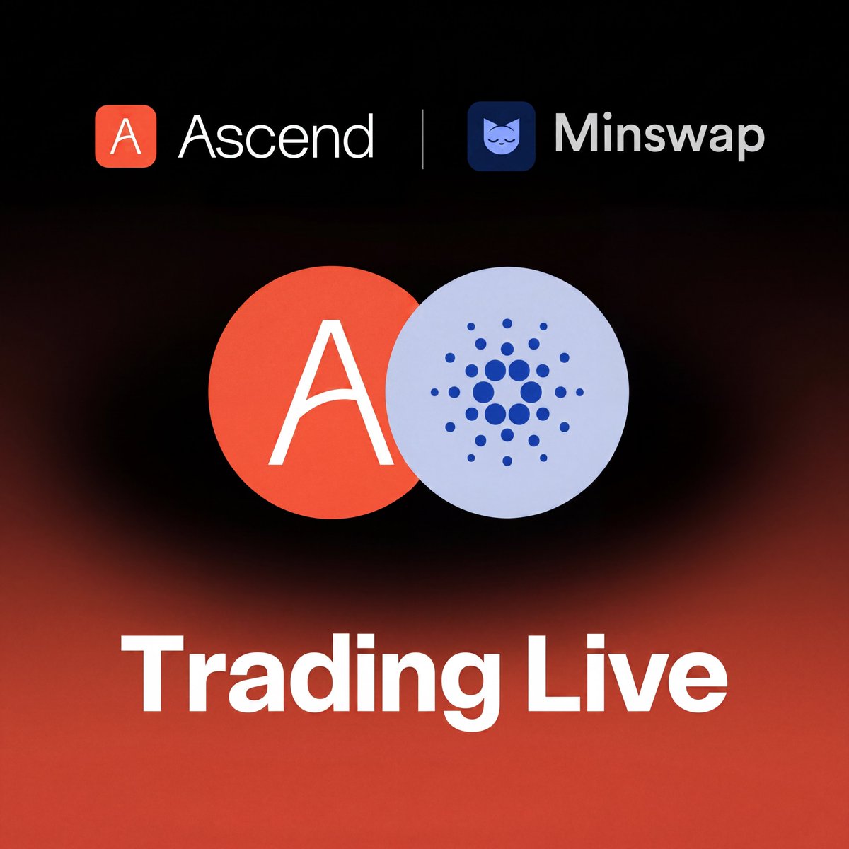Ascend Market tweet media