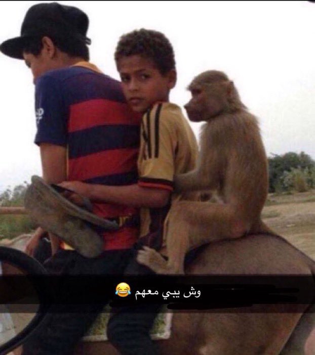 cowboy riding black horse tweet media