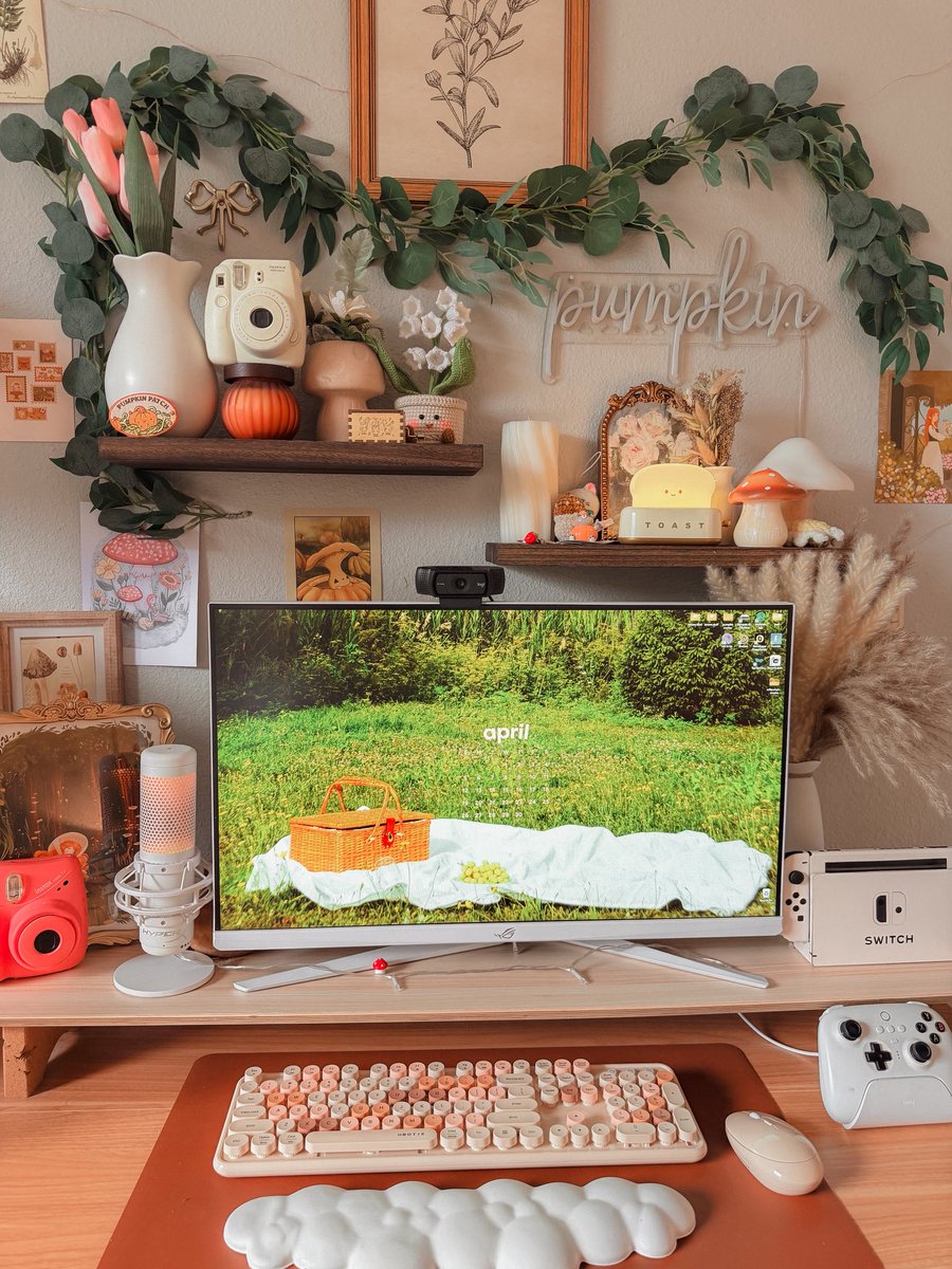 pumpkin ₊˚⊹♡ tweet media