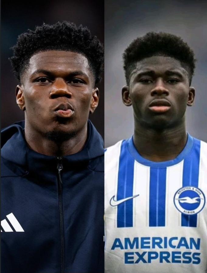 Rising Gems tweet media