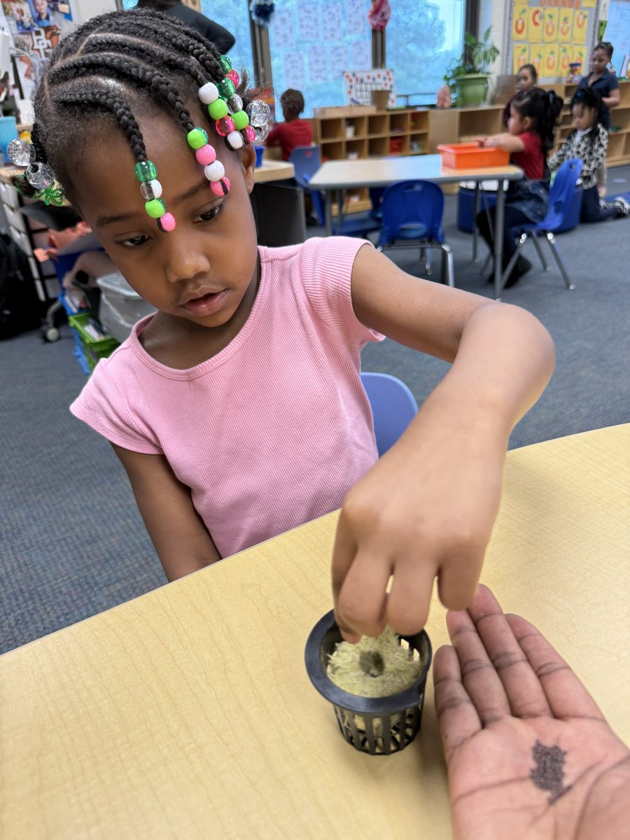 DaraEdu7's tweet image. Our furture horticulturist explored the plant life cycle 🌱, observed veggies growing in our garden tower, and coded with @TPT_Official + @BeebotCo! Up next: a salad celebration 🥗 #EarlyLearning #STEM #EdTech @jppcincinnati @IamCPS