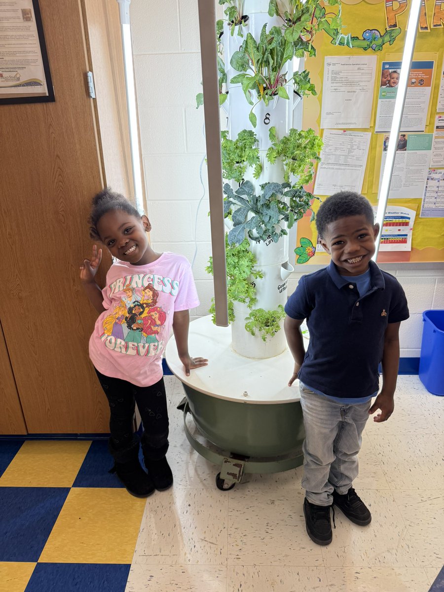 DaraEdu7's tweet image. Our furture horticulturist explored the plant life cycle 🌱, observed veggies growing in our garden tower, and coded with @TPT_Official + @BeebotCo! Up next: a salad celebration 🥗 #EarlyLearning #STEM #EdTech @jppcincinnati @IamCPS