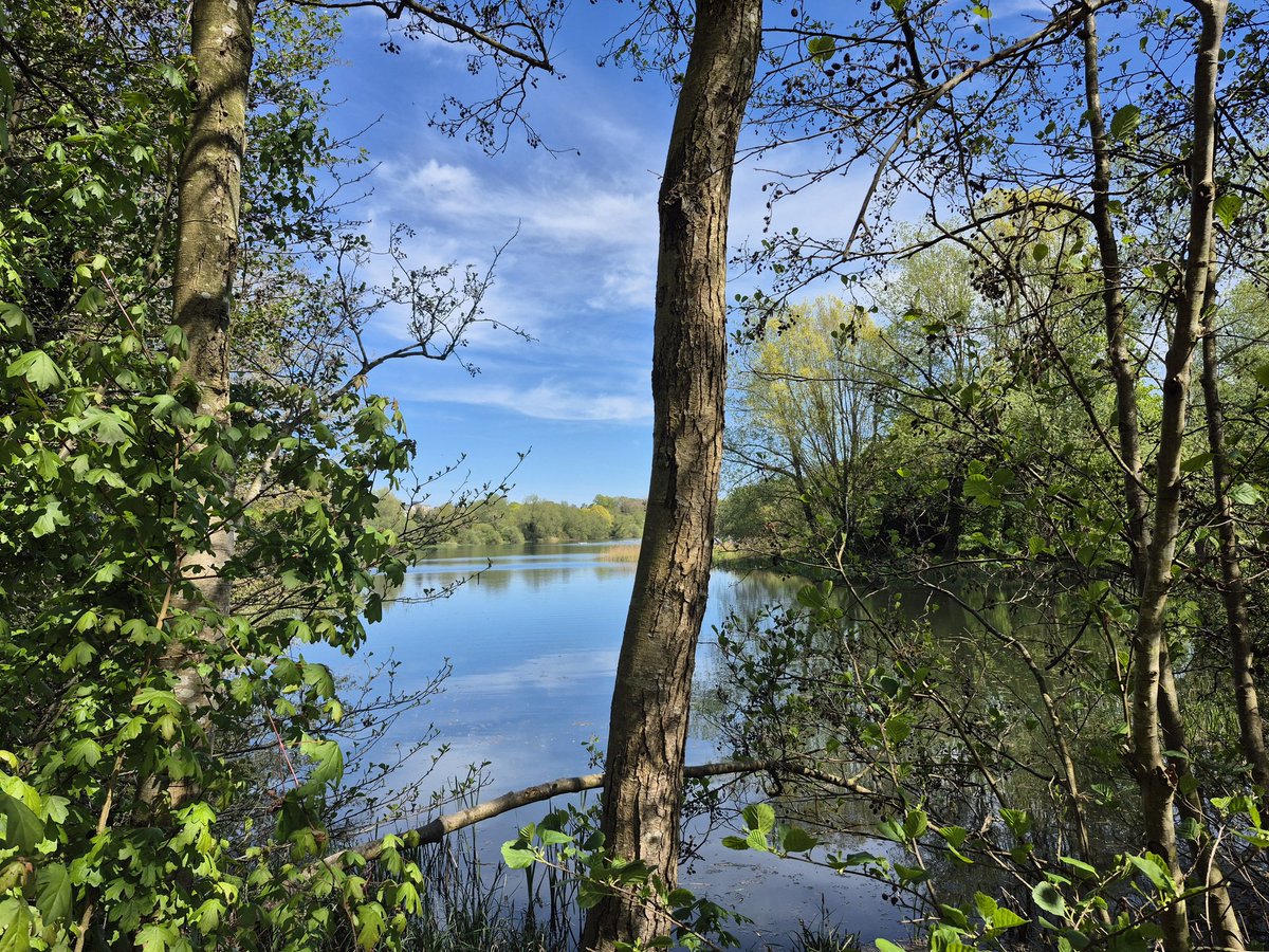 Louise Griffiths tweet media