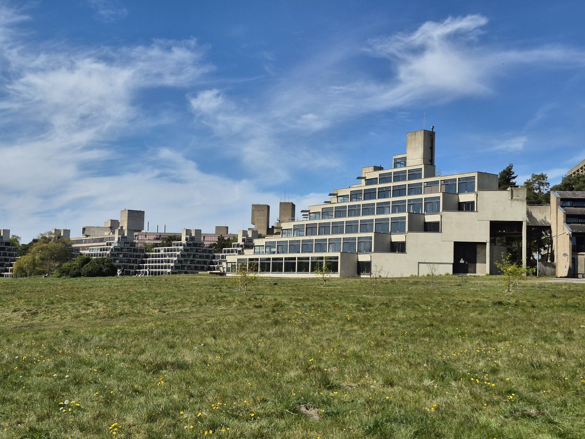 Louise Griffiths tweet media