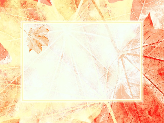 Audrey Barrett tweet media