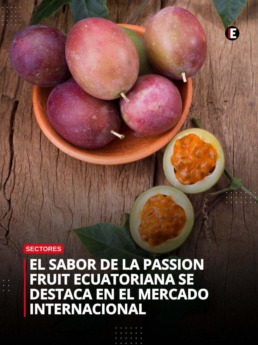 Revista Vistazo tweet media