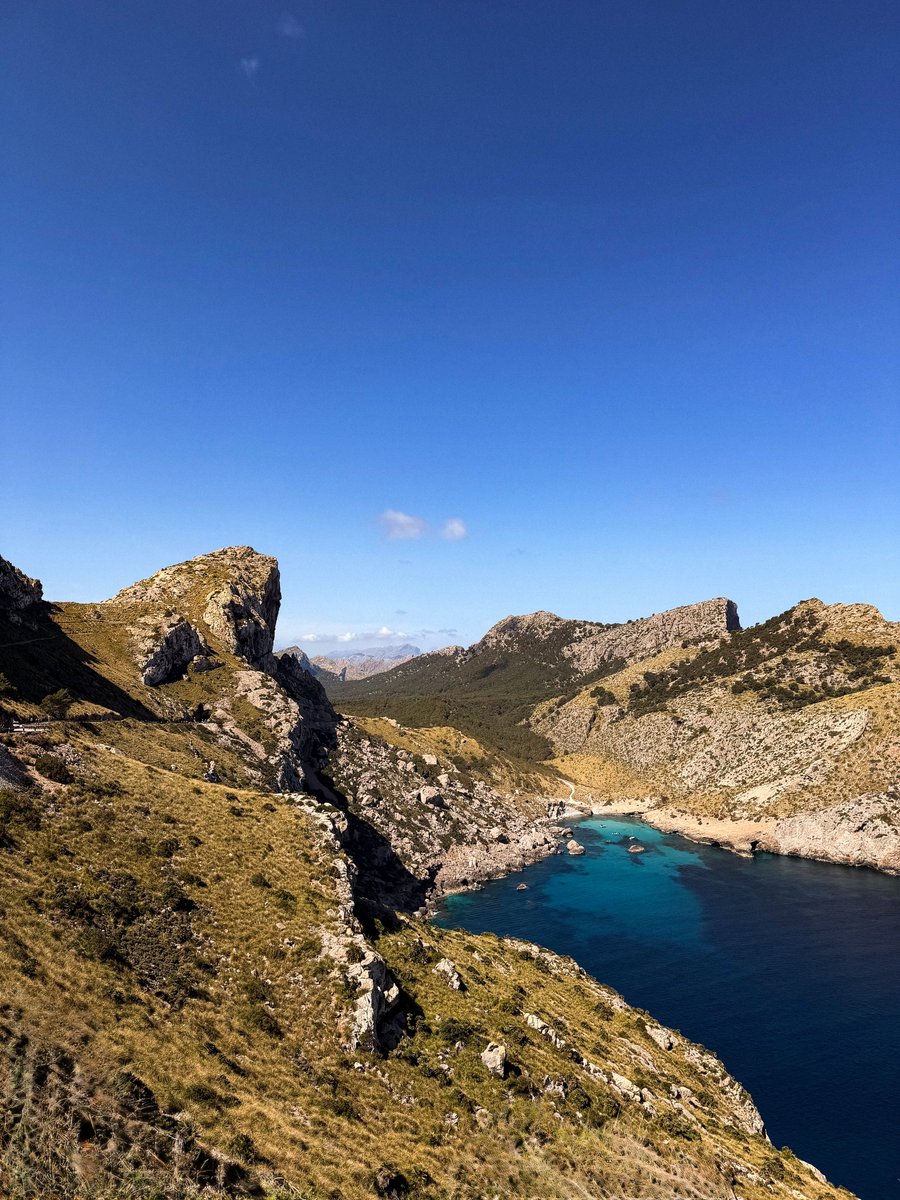 Fabian Pimminger tweet media